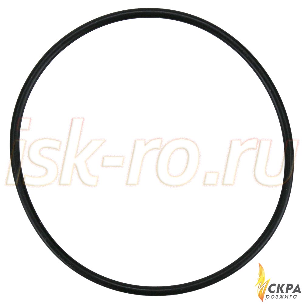 Прокладка кольцевая 55x2 445077