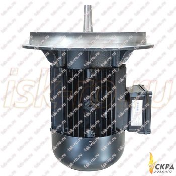 Электродвигатель Weishaupt W-D112/170-2/7K0 21841507010