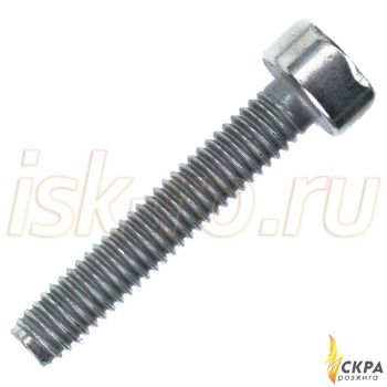 Винт Weishaupt M4 x 22 409238