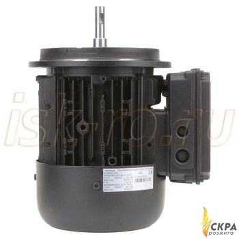 Электродвигатель Weishaupt W-D90/90-2/1K0 25131307010