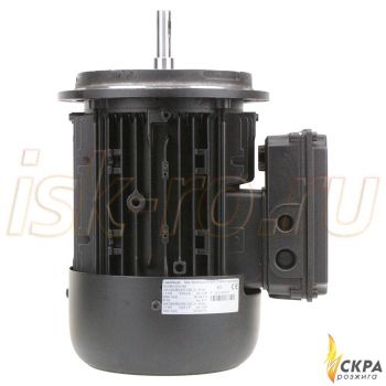 Электродвигатель Weishaupt W-D90/110-2/1K5 25151307010