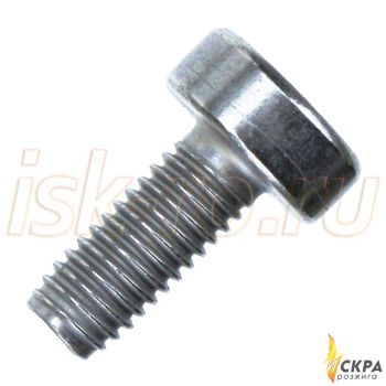 Винт Weishaupt М5 x 12 мм 409247