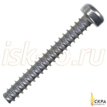 Винт Weishaupt M4 x 30 мм 409325