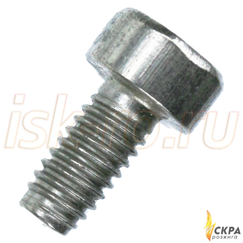 Винт Weishaupt M4 x 8 Torx-Plus 409235