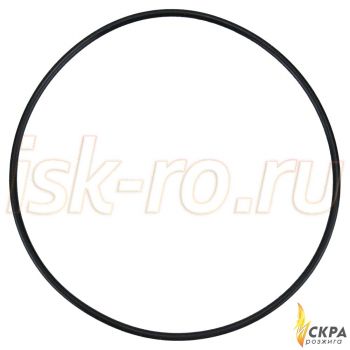 Прокладка кольцевая 79x2 445168
