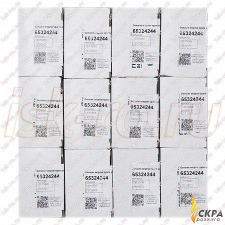 Топочный автомат DMG 970-N Mod.03 65324244 Ecoflam