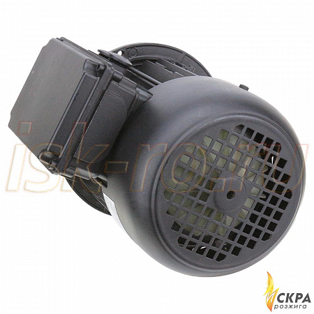 Электродвигатель Weishaupt W-D90/90-2/1K0 25131307010