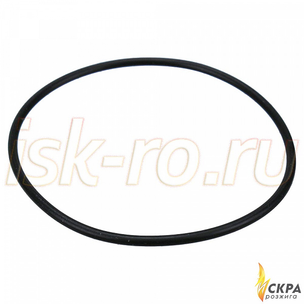 Прокладка кольцевая 55x2 445077