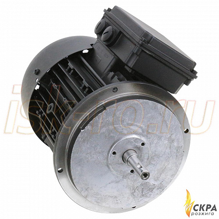 Электродвигатель Weishaupt W-D90/110-2/1K5 25151307010