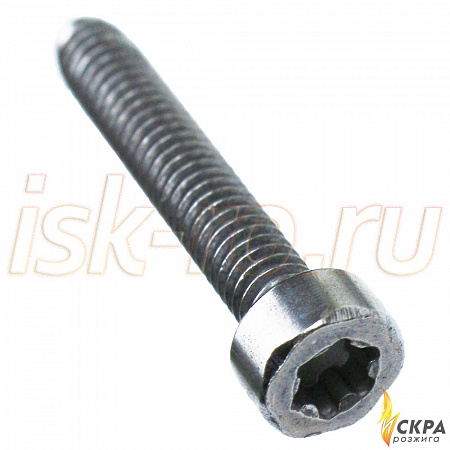 Винт Weishaupt M4 x 22 409238