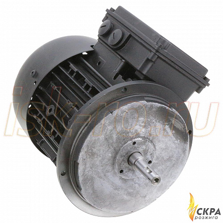 Электродвигатель Weishaupt W-D90/90-2/1K0 25131307010