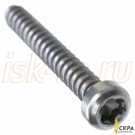 Винт Weishaupt M4 x 30 мм 409325
