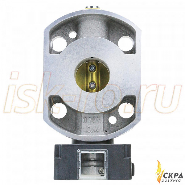 Заслонка газовая DN40 25130425012