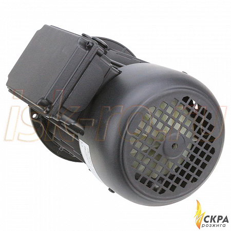 Электродвигатель Weishaupt W-D90/110-2/1K5 25151307010