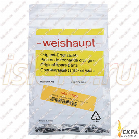 Винт Weishaupt M4 x 22 409238