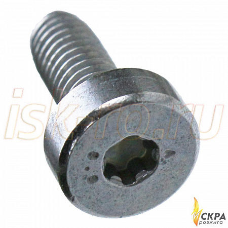 Винт Weishaupt М5 x 12 мм 409247