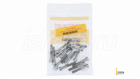 Винт Weishaupt M6 x 40 мм 21750414137