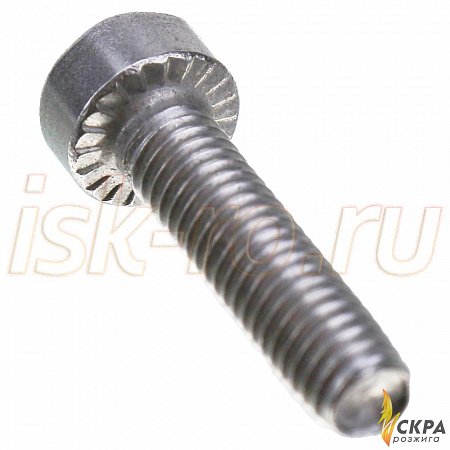 Винт Weishaupt М4 х 16 409224