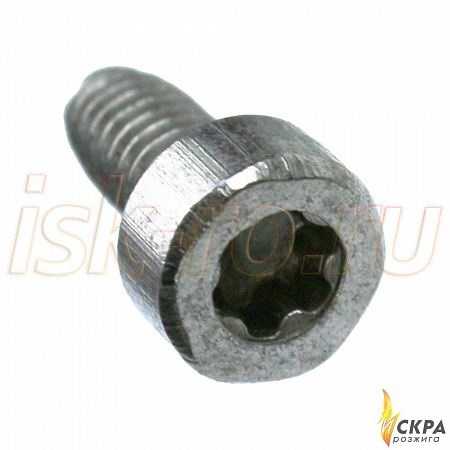 Винт Weishaupt M4 x 8 409235