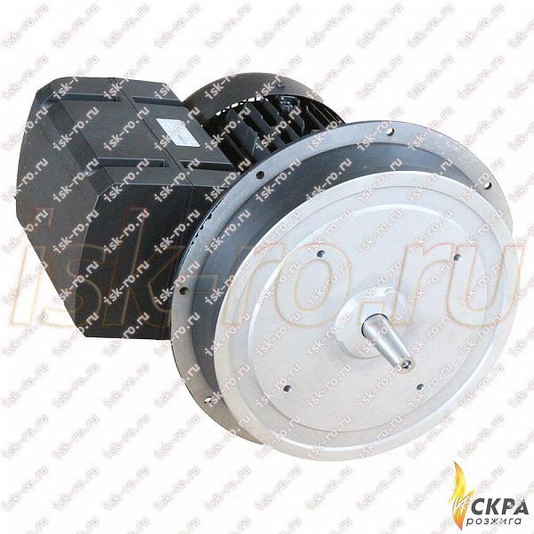 Электродвигатель W-D132/210-2/14K0 380-415V 50Hz 21851507040 Weishaupt