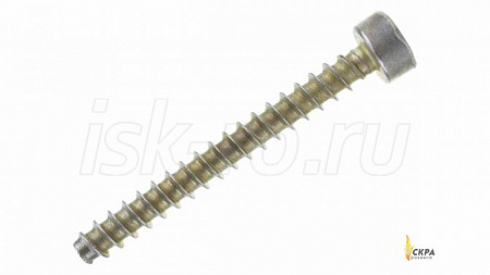 Винт Weishaupt 4 х 35 мм 409355